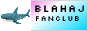 blahaj is best