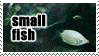 fish gif